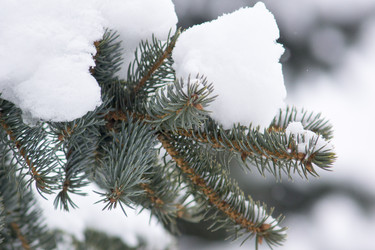 Similar image 6105626