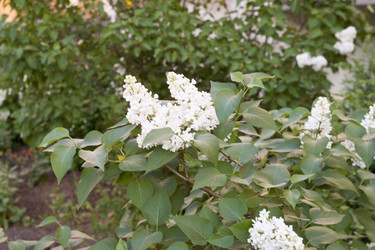 Similar image 6105627