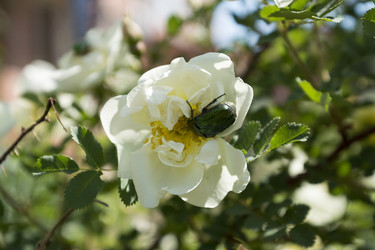 Similar image 6105630