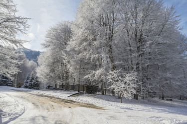 Similar image 6105785