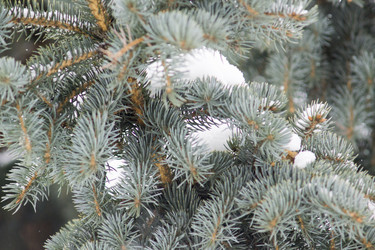 Similar image 6105786