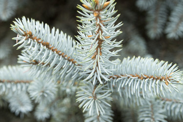 Similar image 6105787