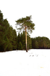 Similar image 6105789