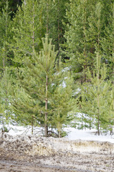 Similar image 6105790