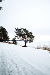 Similar image 6105791