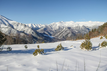 Similar image 6106133