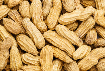 Similar image 6106146