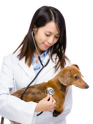 Similar image 6106310