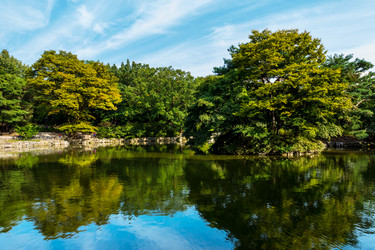 Similar image 6106372