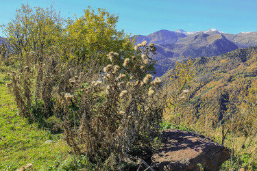 Similar image 6106394