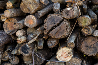 Similar image 6106440