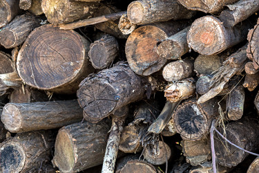 Similar image 6106443