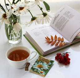 Similar image 6107073