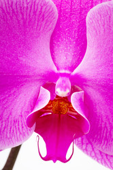 Similar image 6107198