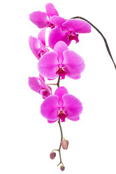 Similar image 6107201