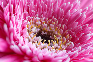 Similar image 6107705