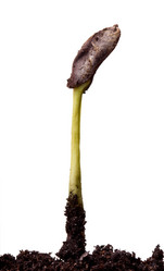 Similar image 6107758