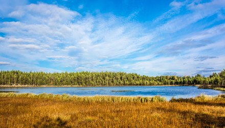 Similar image 6107788