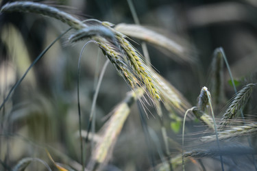 Similar image 6107789