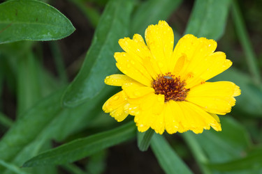 Similar image 6107790