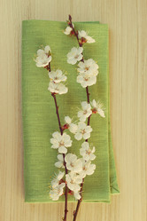 Similar image 6107811