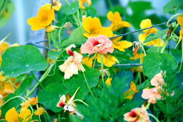 Similar image 6107820