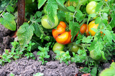 Similar image 6107821