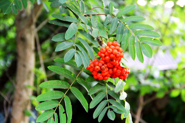 Similar image 6107823