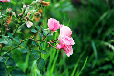 Similar image 6107824