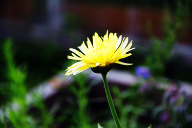 Similar image 6107825