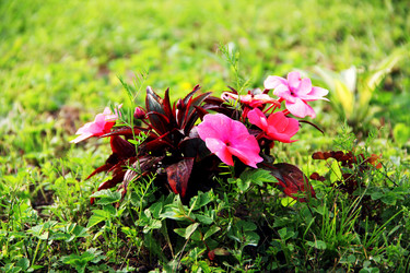 Similar image 6107826