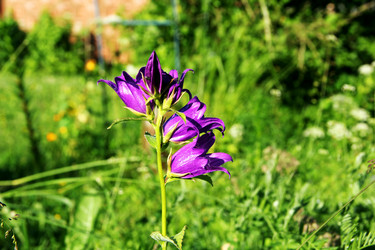 Similar image 6107827