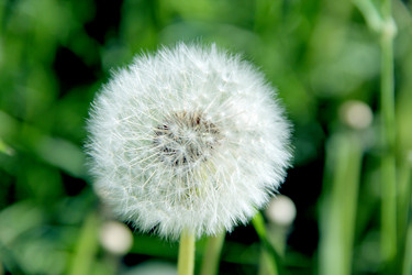 Similar image 6107828