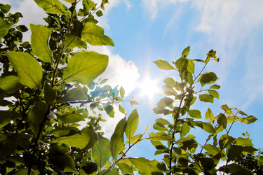 Similar image 6107830