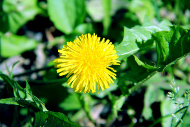 Similar image 6107846