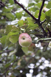 Similar image 6107849