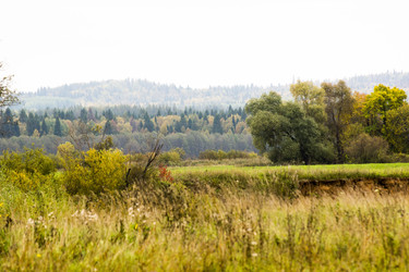 Similar image 6107861