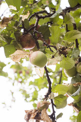 Similar image 6107862