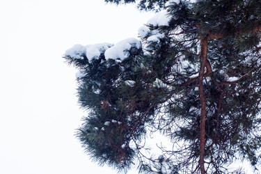 Similar image 6107865