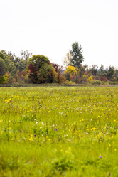 Similar image 6107867