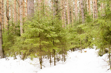 Similar image 6107868