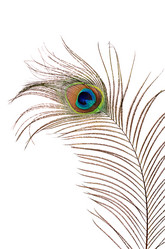 Similar image 6107917