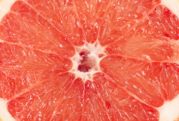 Similar image 6108006