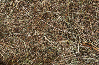 Similar image 6108034