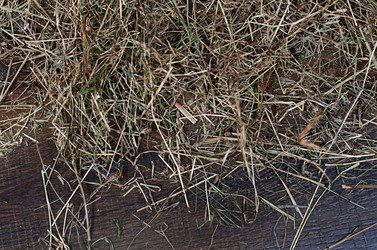 Similar image 6108040