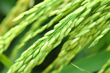 Similar image 6108073