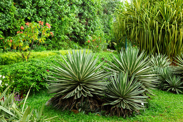 Similar image 6108101