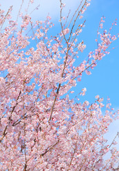 Similar image 6108102