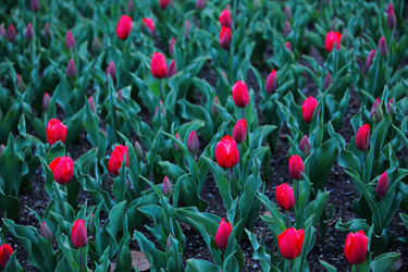 Similar image 6108105