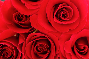 Similar image 6108122